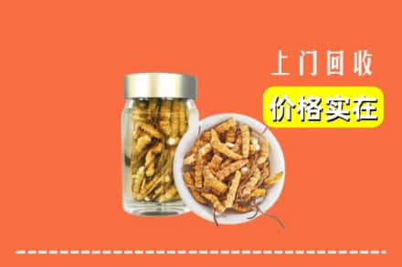 信阳商城县回收散虫草