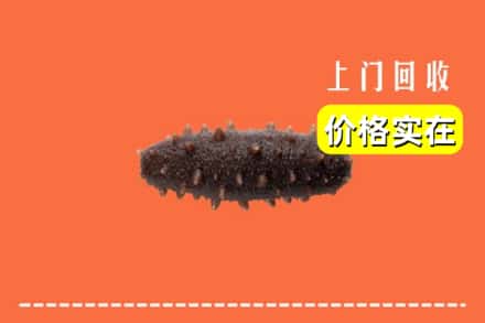 信阳商城县回收海参