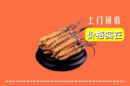 信阳商城县回收冬虫夏草