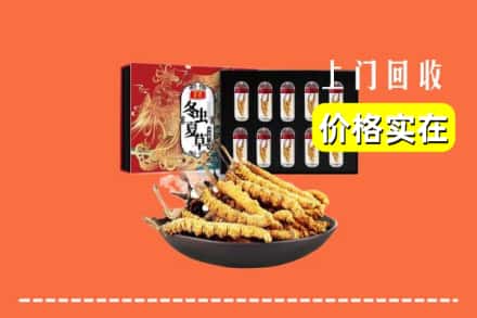 信阳商城县回收虫草