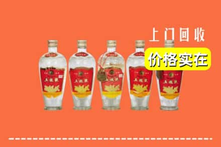 诚信求购:信阳商城县高价回收老五粮液